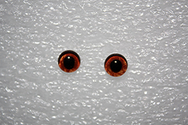 LA-0305688-412   Kupferfarbene Glasaugen mit gesprenkelter Pupille 6-12mm