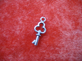 SW-Baeren-Shop - Schlüssel